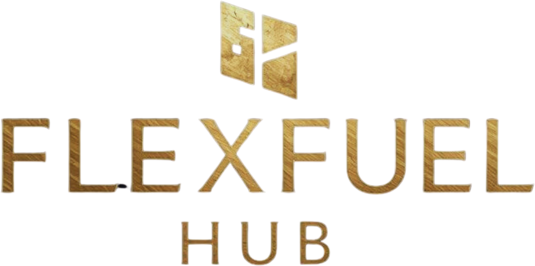 https://flexfuelhub.co.in/